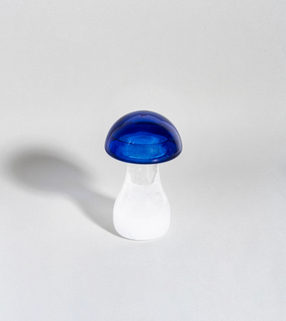 Barometro a tempesta a fungo - blu reale