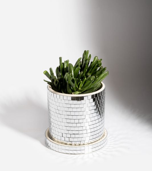 Disco plant pot