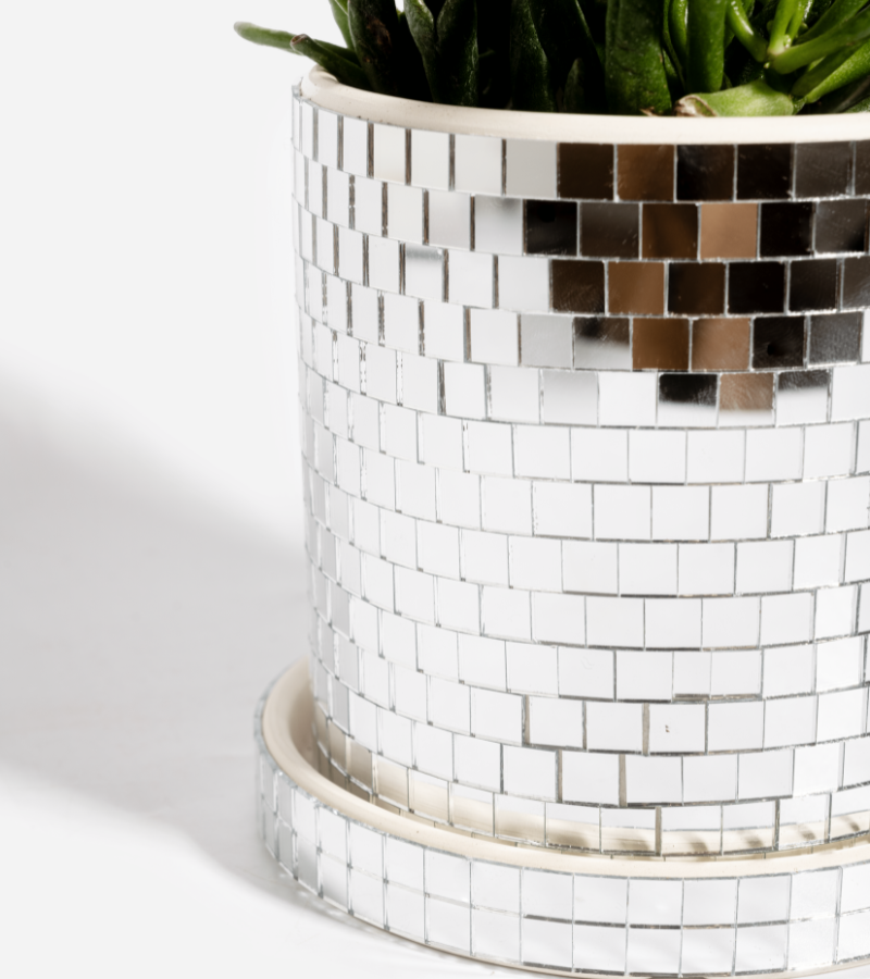 Disco plant pot