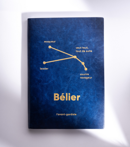 Astro-Notizbuch - 12 Sternzeichen