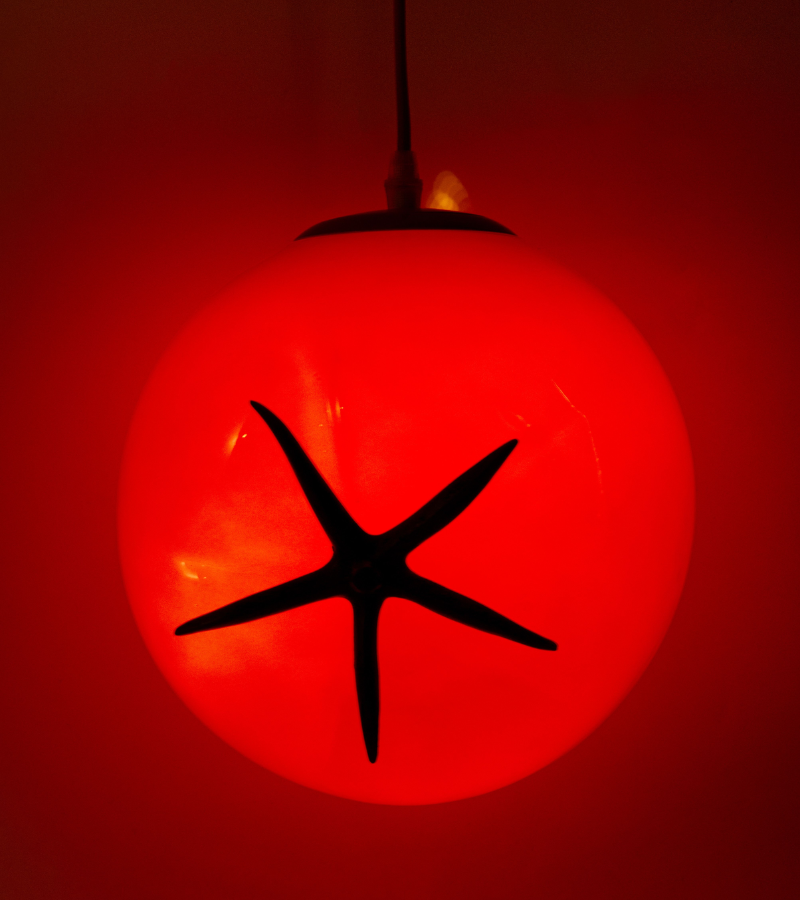 Lámpara tomate para colocar o colgar